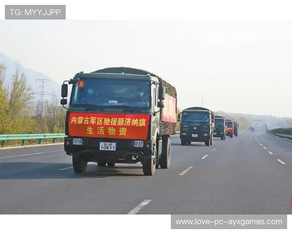 医务体系成夺冠关键，打造坚不可摧的国家健康护城河